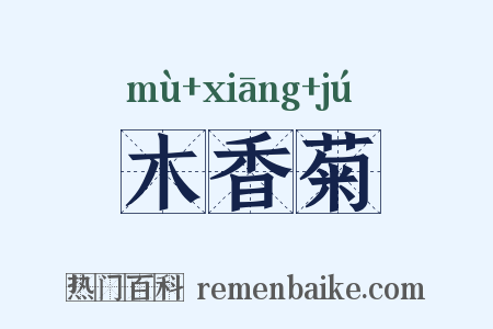木香菊是什么意思的图片